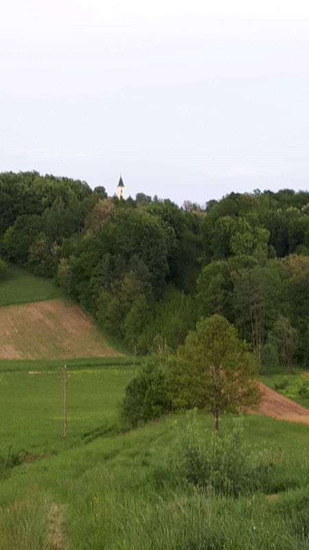 BAGREM ANNO DOMINI 2019.