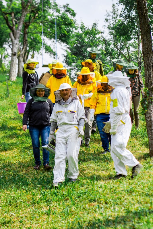 Radionica osnove pčelarstva
