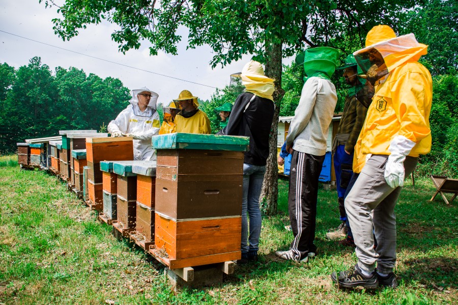 Radionica osnove pčelarstva